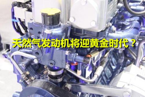 加快燃气储备能力建设的实施意见,加快天然气利用