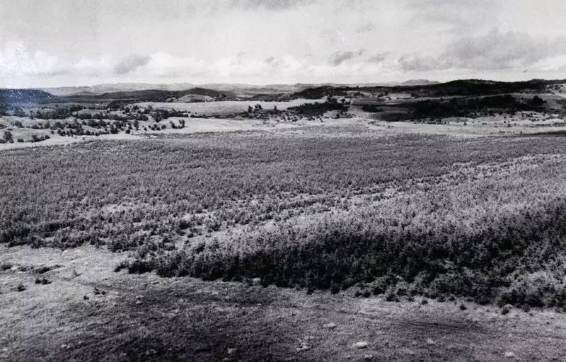 英国小哥到中国旅游,英国小哥来到中国旅游