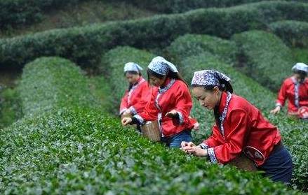 天府舌尖之旅,寻找舌尖上的成都美食
