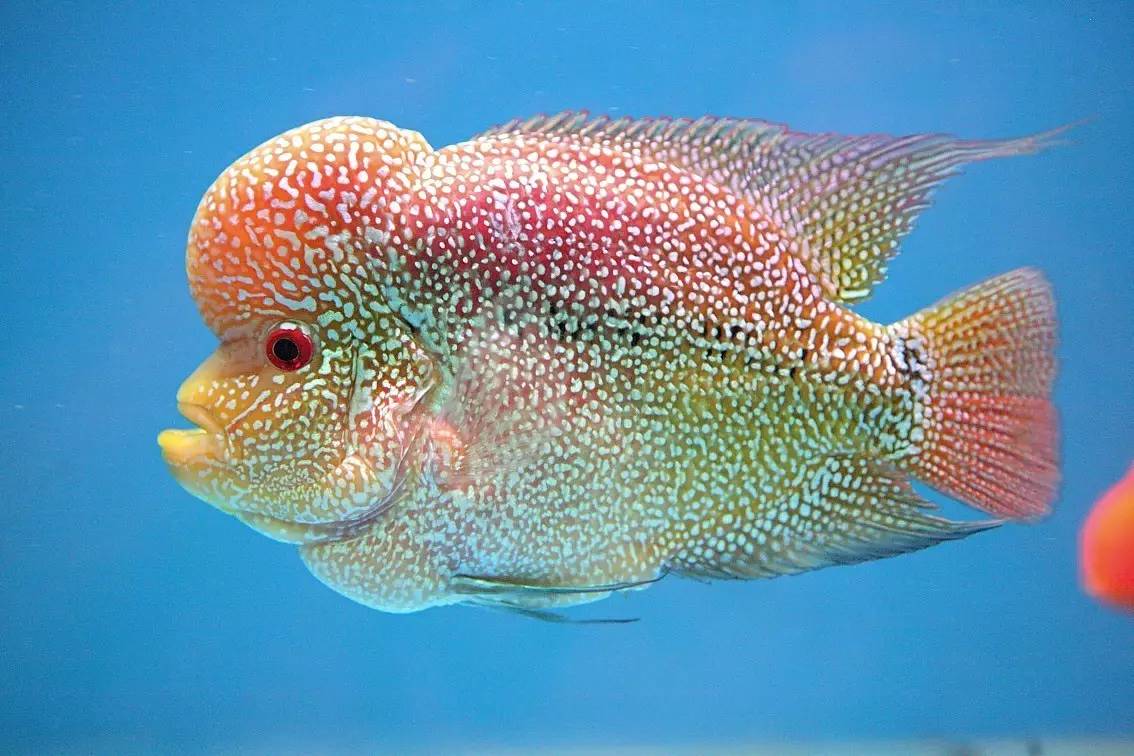 手把手教你如何正确消毒,用什么消毒对冠状病毒有效