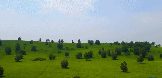 英国小哥到中国旅游,英国小哥来到中国旅游