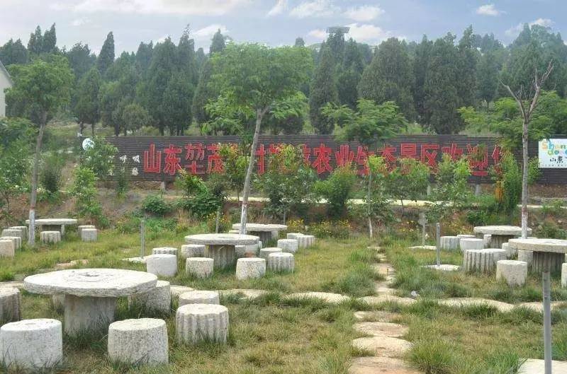 济宁人怎么样,济宁人为什么那么有钱