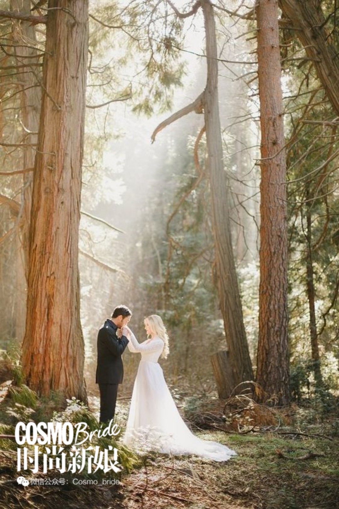 森系婚礼高级简约,清新自然的森系婚礼风格