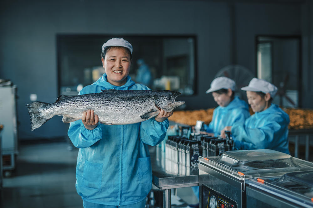 半年融两轮他日产2吨鲜粮按7万狗主人喂养习惯精准配送失误率低于1%