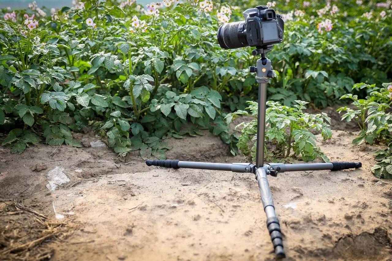 轻便与稳定双收精嘉VEO唯影二代脚架235AB试用