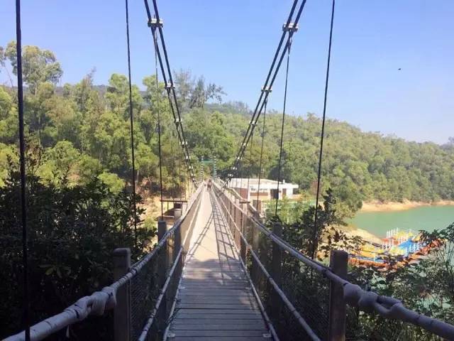 南海人常去的澳门，藏着一个黑色沙滩！薛凯琪、房祖名都去过拍戏！