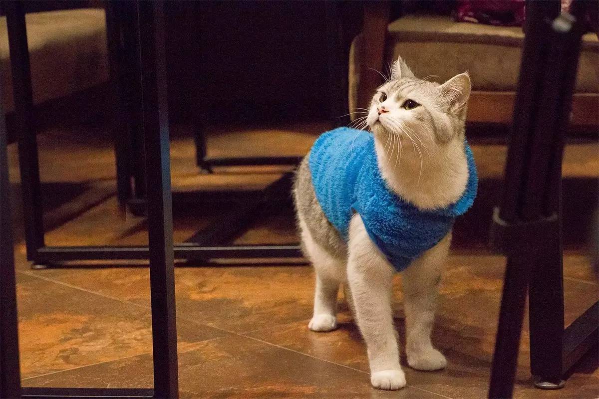 环球潮流图鉴：去澳门，别人都在赌钱，我却跑到美好小店忙里偷闲