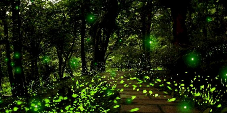 比工资上涨房价下降更劲爆！这里有25个好消息，个个与你相关！