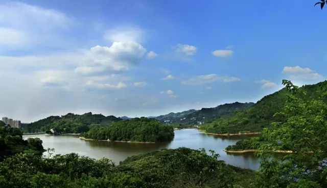 环境好了、蓝天多了……龙泉驿小区居民把锦旗送给了谁？