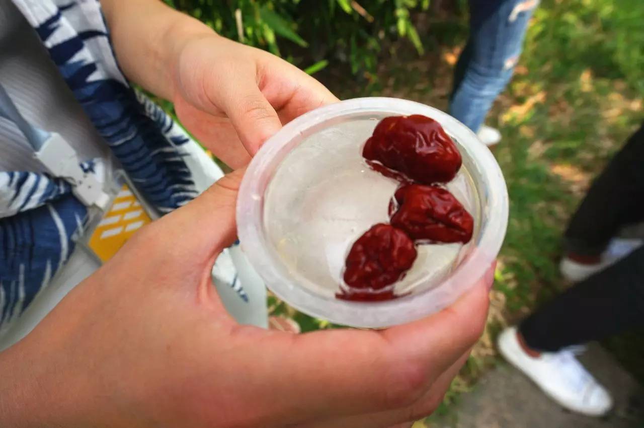 雅戈尔动物园门票免费几天,国庆节雅戈尔动物园免门票吗