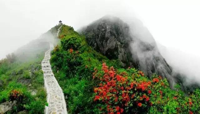 广西获得国家全域旅游示范区名单,广西全域旅游示范市