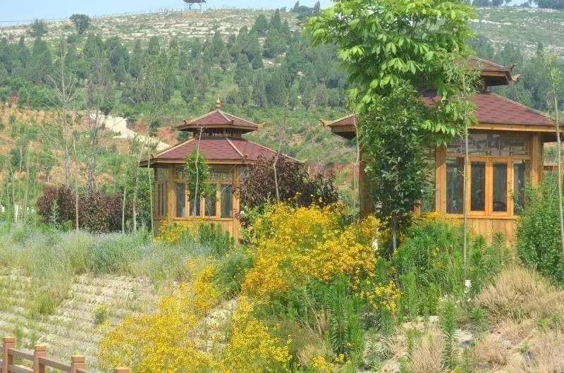 济宁人怎么样,济宁人为什么那么有钱