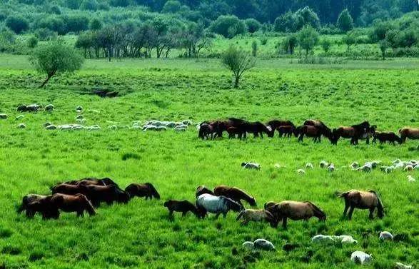 比工资上涨房价下降更劲爆！这里有25个好消息，个个与你相关！