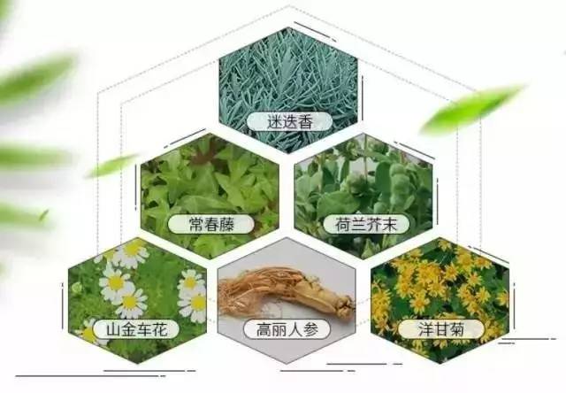 去日本必买的10样东西,去日本必买的便宜好用的东西