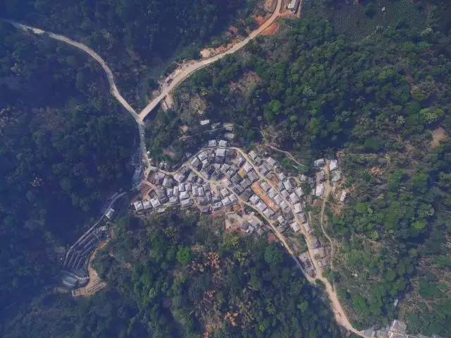 景迈山04｜远上茶山石径斜