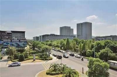 滨湖区如何长得更高大、更强壮、更英俊，小敏书记明确新路径