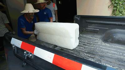 雅戈尔动物园门票免费几天,国庆节雅戈尔动物园免门票吗