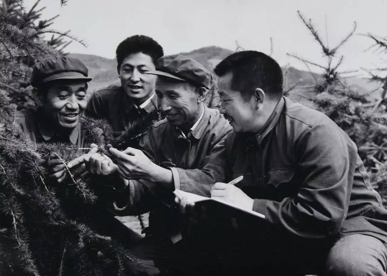 英国小哥到中国旅游,英国小哥来到中国旅游