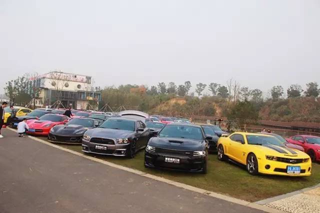 dreamcar,璧勮涔拌溅