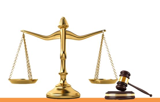 杭州市富阳区新登镇小福光校区,杭州市富阳区新登镇福光小学