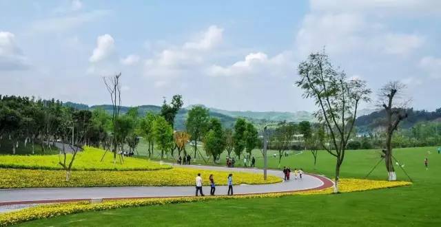 比工资上涨房价下降更劲爆！这里有25个好消息，个个与你相关！