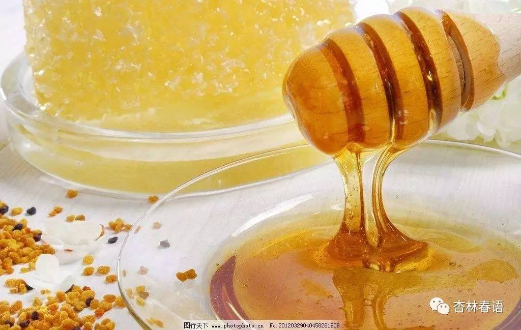 贴秋膘吃肉指南,贴秋膘了解一下