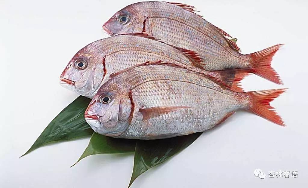 贴秋膘吃肉指南,贴秋膘了解一下