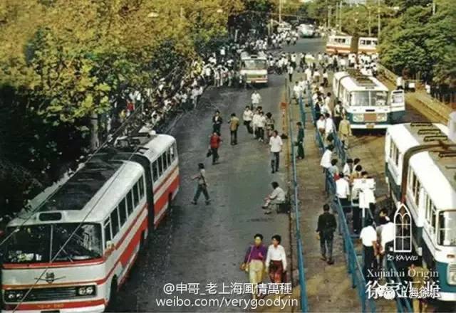 你真的了解她的过去吗,当你了解了她的过去以后会怎么样