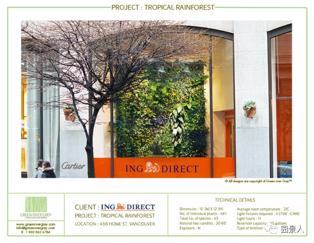 一说到垂直绿化,脑袋里就蹦出他,他,他(附失败案例经验总结)