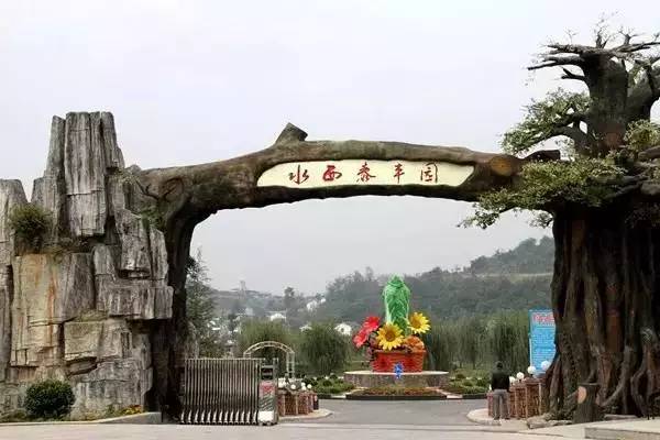 贵州不用带帐篷露营地推荐,贵州自搭帐篷露营地推荐