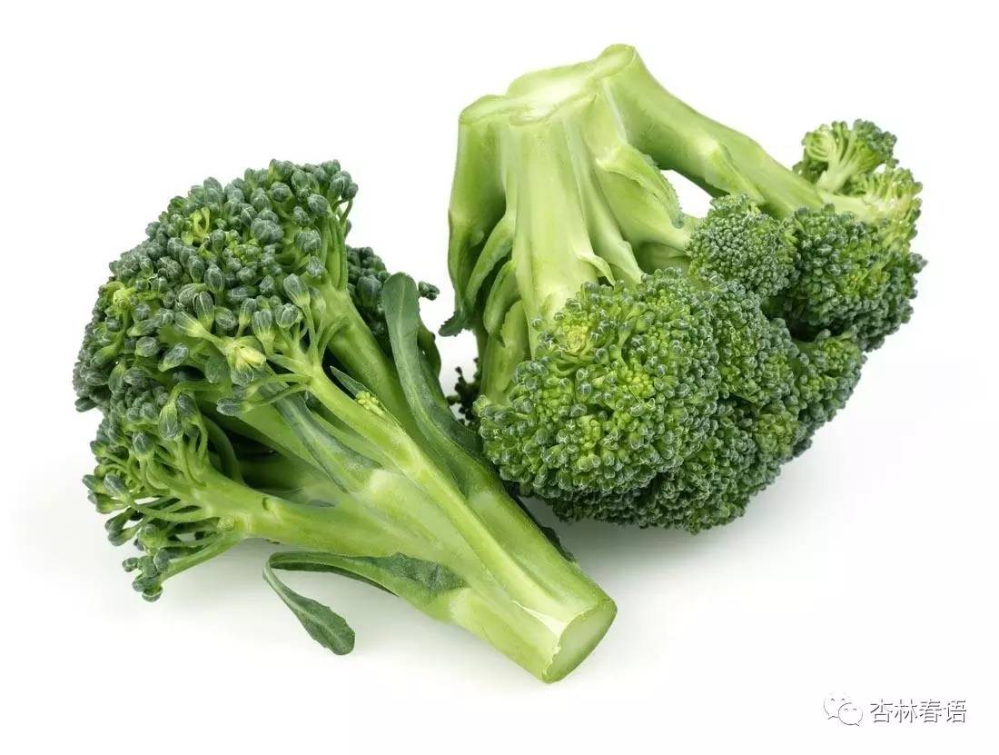 贴秋膘吃肉指南,贴秋膘了解一下