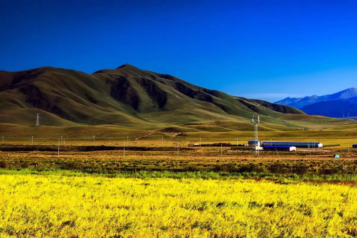 「醉青海」成都到青海湖自驾攻略(线路、花费、装备)