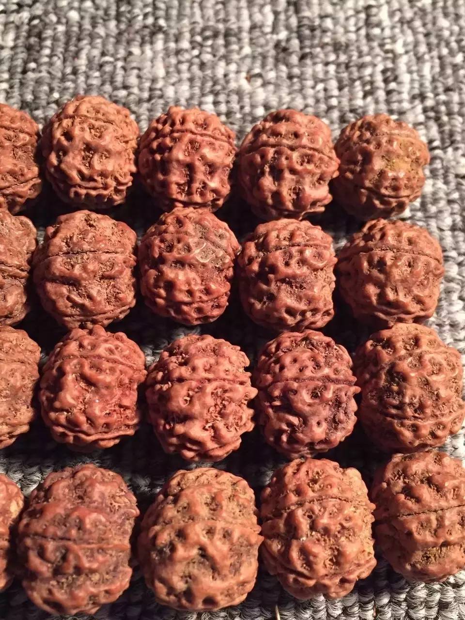 金刚菩提竟然会被减肥几次？惊呆了……