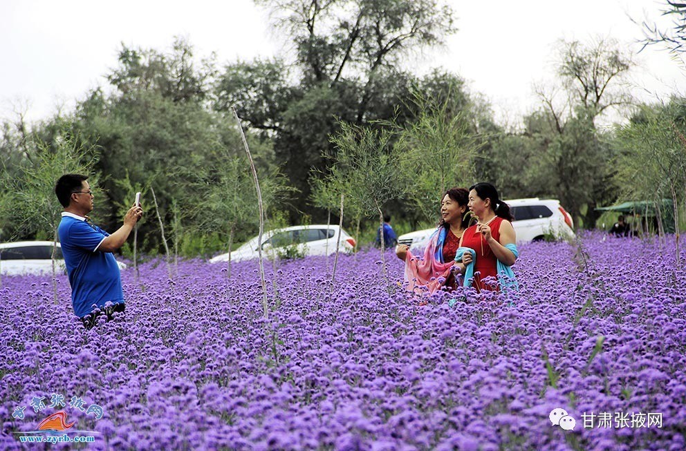 2017高台大事件,2019高台大事件