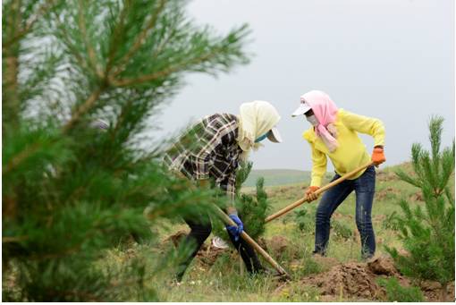 多伦县生态建设,多伦县原生态草原