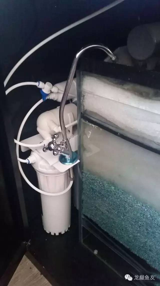 你还在傻傻的补水吗,你还在傻傻的浮潜吗