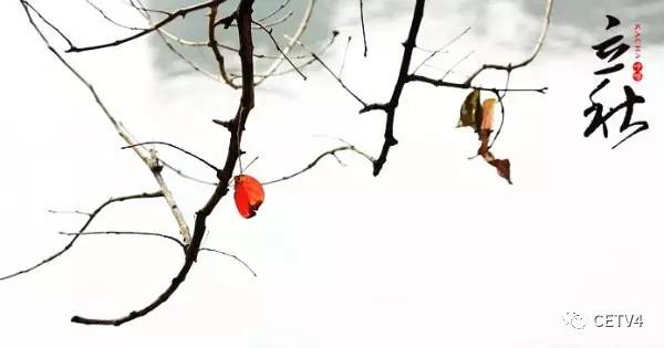 史铁生的散文秋天的怀念,秋天的怀念我想对史铁生说100个字