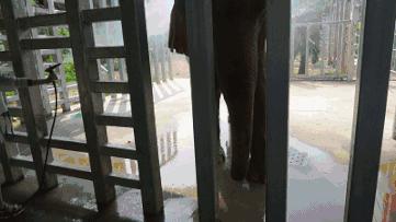 雅戈尔动物园门票免费几天,国庆节雅戈尔动物园免门票吗