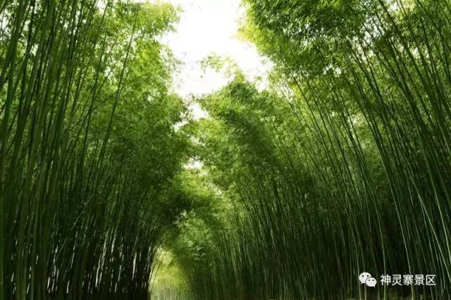 洛阳适合自由免费露营的地方,洛阳新安帐篷露营的地方