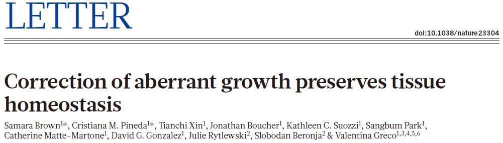 nature解码肿瘤免疫系统,nature真的能杀癌细胞吗