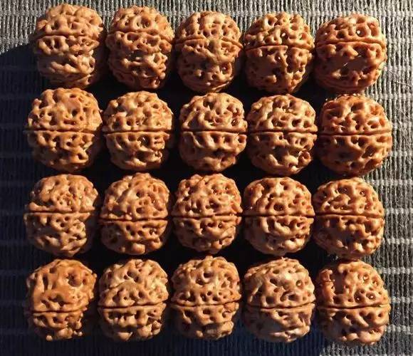 金刚菩提竟然会被减肥几次？惊呆了……