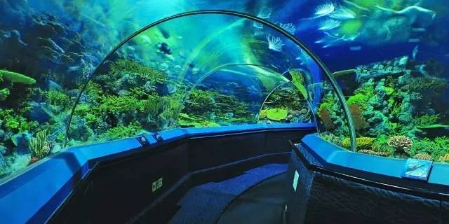 好消息！9月份去上海这64个热门景区统统半价！