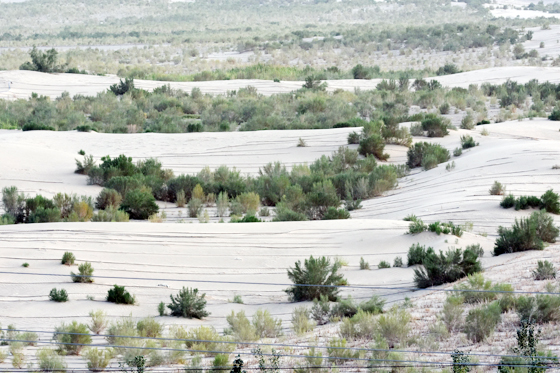 且末县城市风光,且末县生态改善