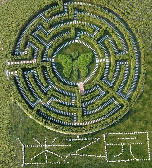 宁波公交一日游线路一览表,宁波坐公交车一日游