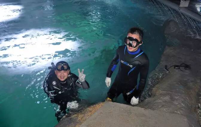 聊城市海底世界,聊城海底世界真实视频