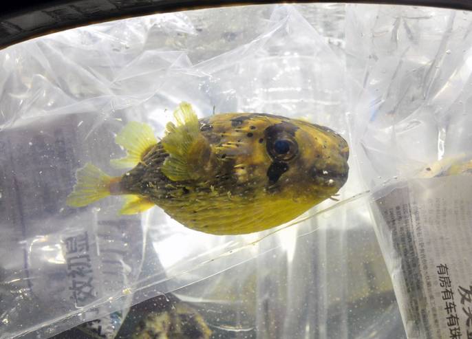 聊城市海底世界,聊城海底世界真实视频