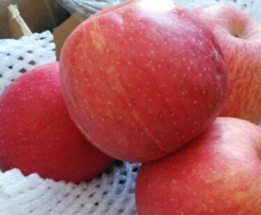 暴利批发一件代发,一件代发高利润的产品