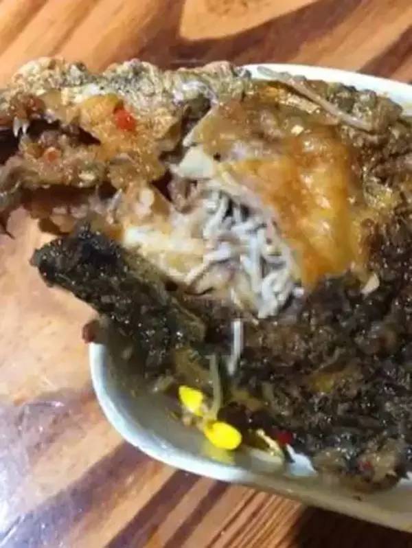 语闻丨她放火烧房，理由奇葩得难以置信……还有一张图，不是重口味就别点了！