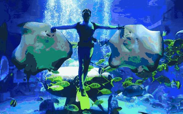 孩子去极地馆总是玩不够?现在一家三口无限次畅游只要650元|还有机会抢免费门票