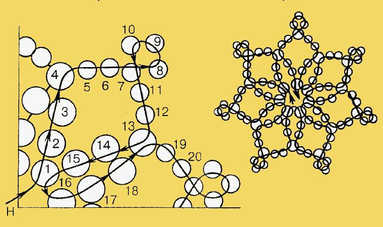 她用鱼线把一颗颗圆珠串起来，竟然会变成这样！